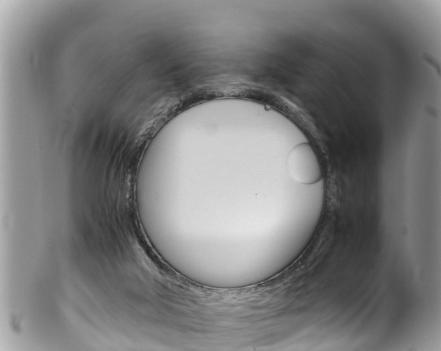 X0000100490018200806130806