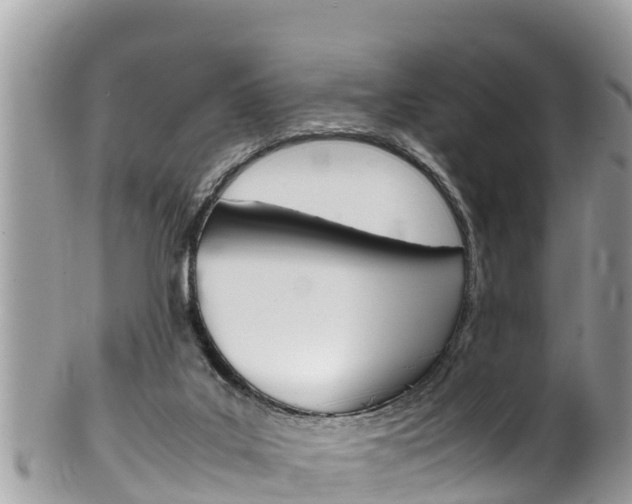 X0000100490019200806130806