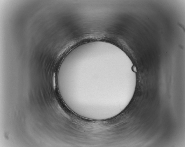 X0000100490020200806130805