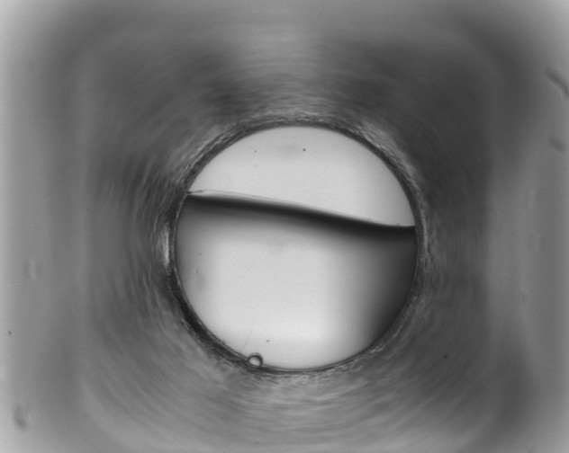 X0000100490021200806130805