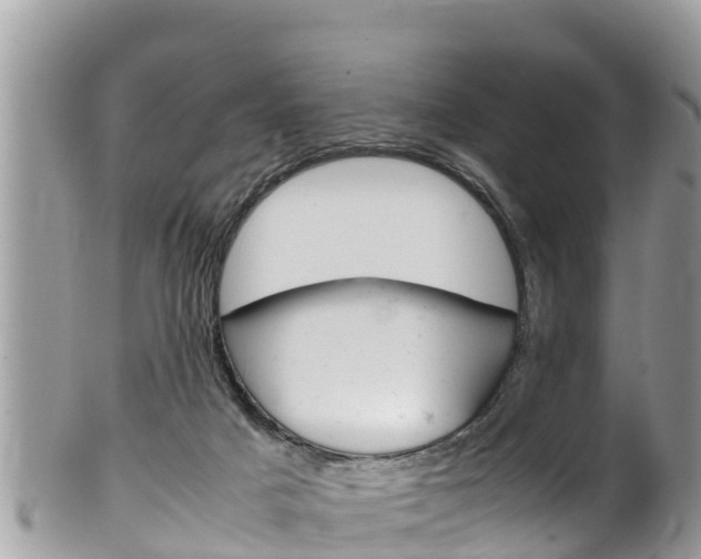 X0000100490025200806130805