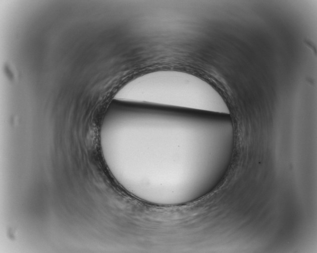 X0000100490029200806130805
