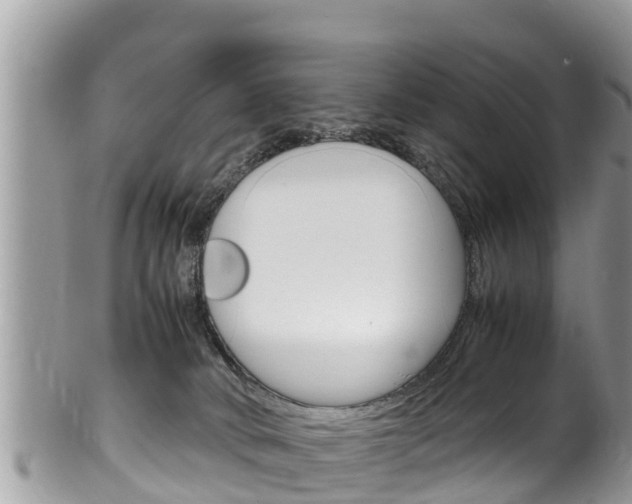 X0000100490034200806130805