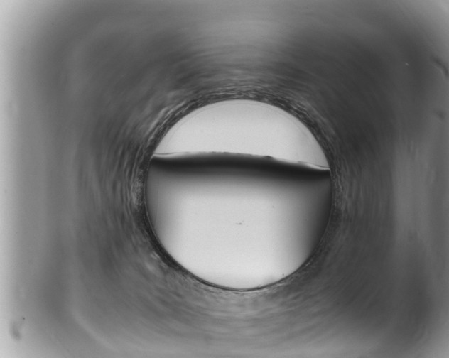 X0000100490035200806130805
