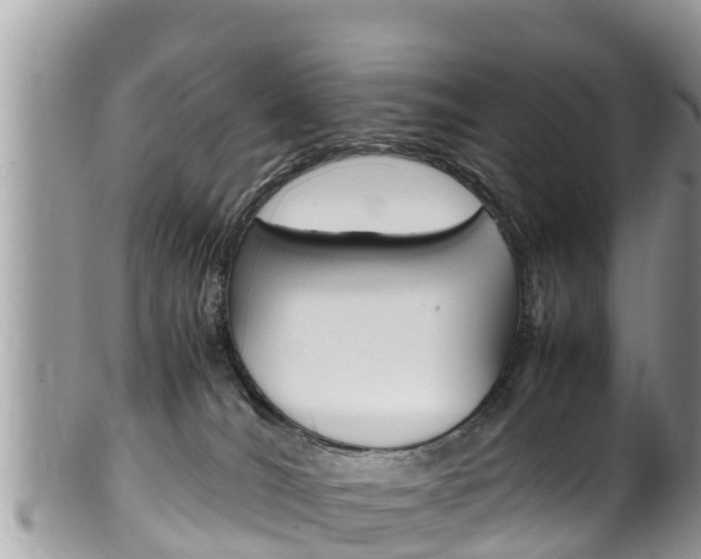 X0000100490036200806130805