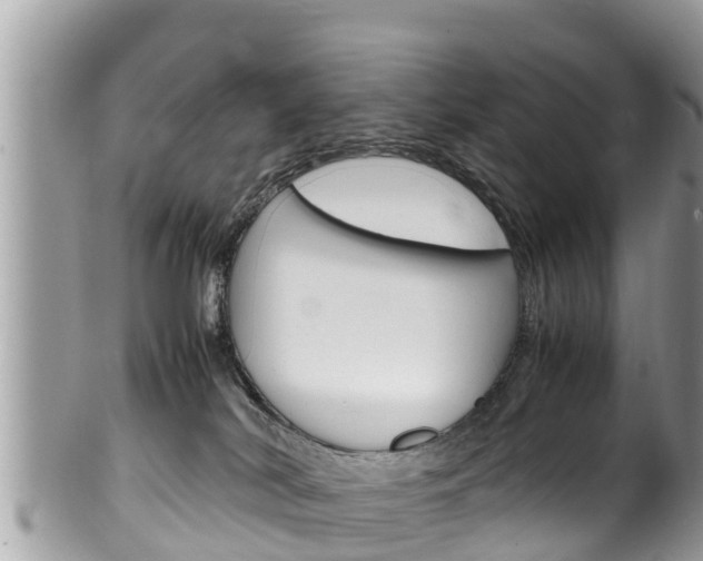 X0000100490038200806130805