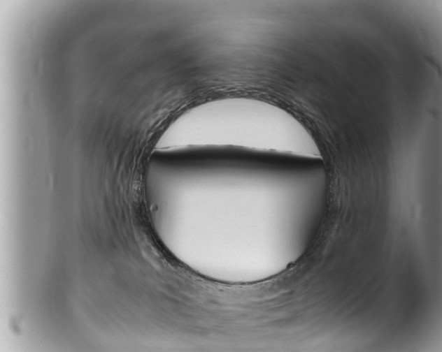 X0000100490039200806130805