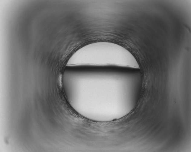 X0000100490041200806130805