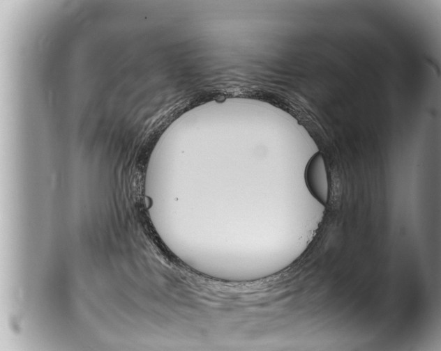 X0000100490043200806130805