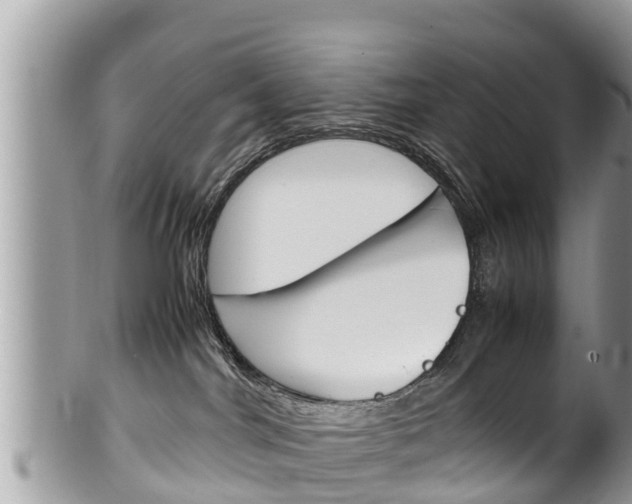 X0000100490044200806130805
