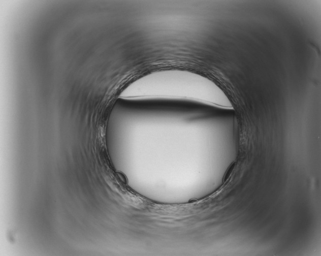 X0000100490045200806130805