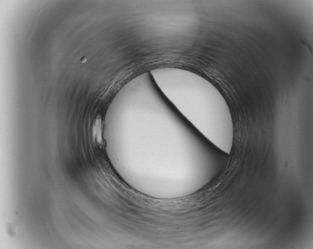 X0000100490046200806130805