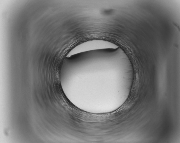 X0000100490048200806130805