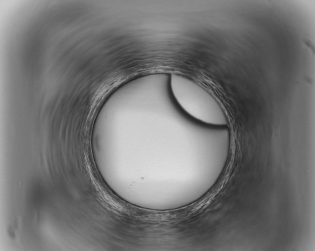 X0000100490049200806130804