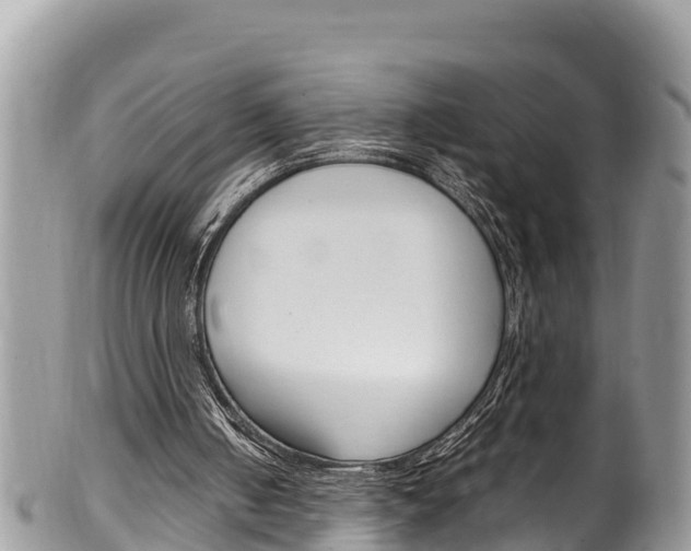X0000100490050200806130804