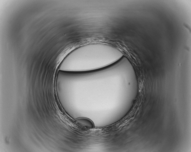 X0000100490052200806130804