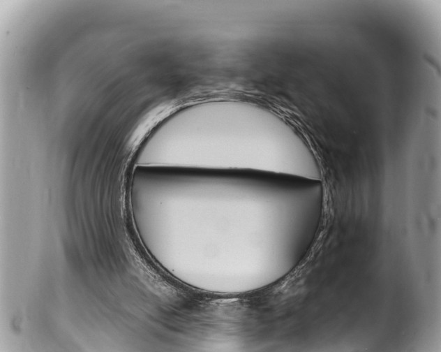 X0000100490054200806130805