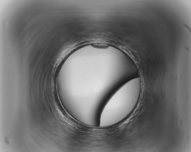X0000100490055200806130805