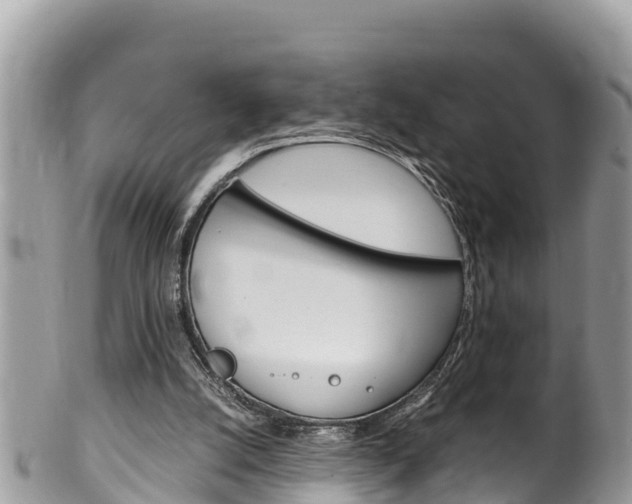 X0000100490056200806130805