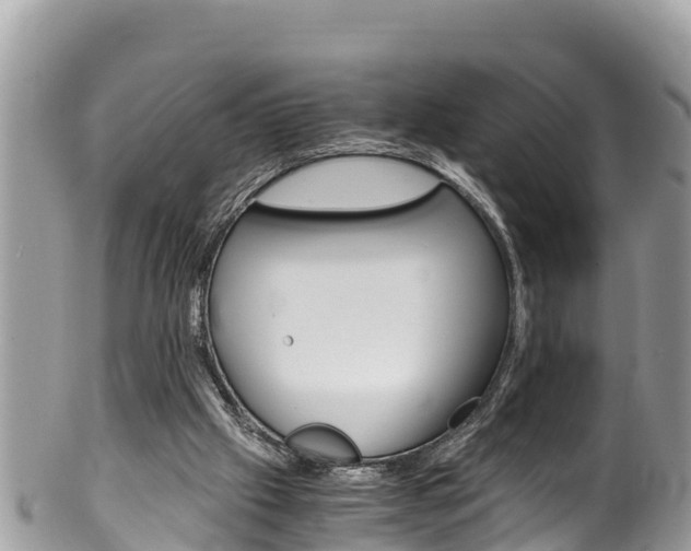 X0000100490057200806130805