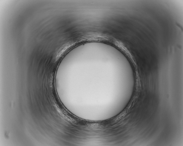 X0000100490058200806130805