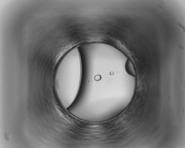 X0000100490059200806130805