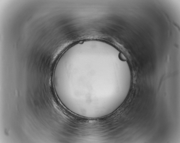 X0000100490060200806130805