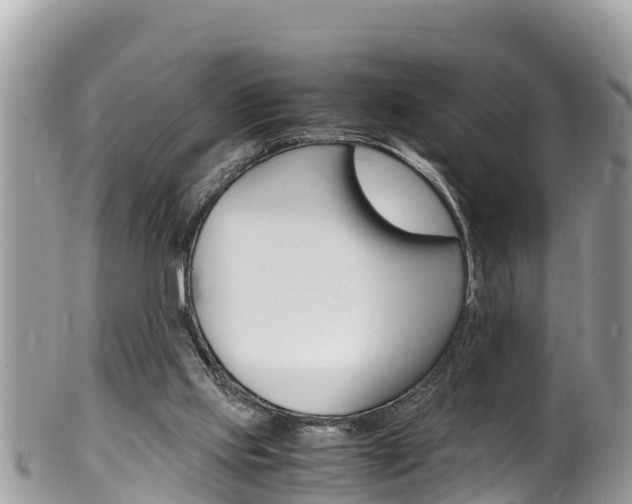 X0000100490061200806130805