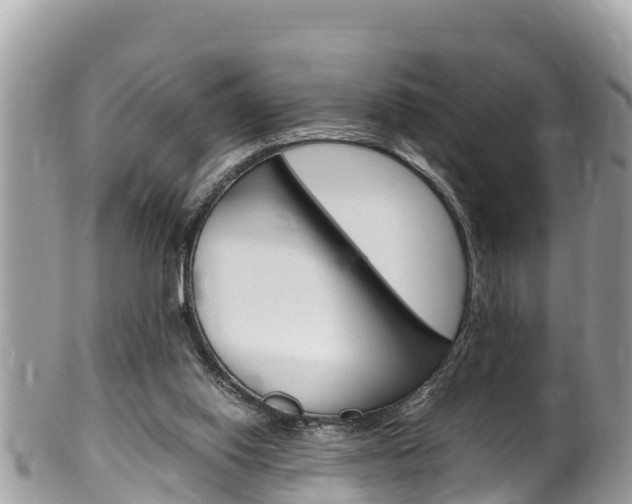 X0000100490062200806130805