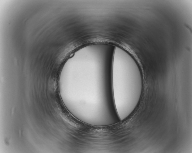 X0000100490063200806130805