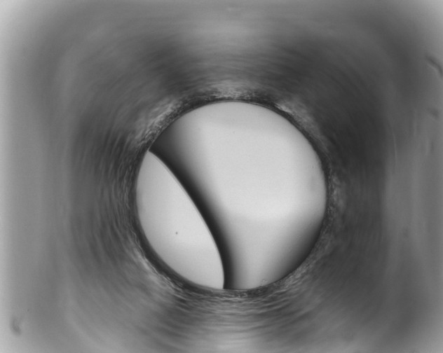 X0000100490066200806130805