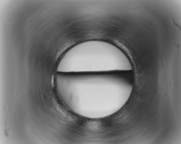 X0000100490067200806130805