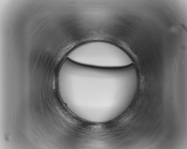 X0000100490068200806130805
