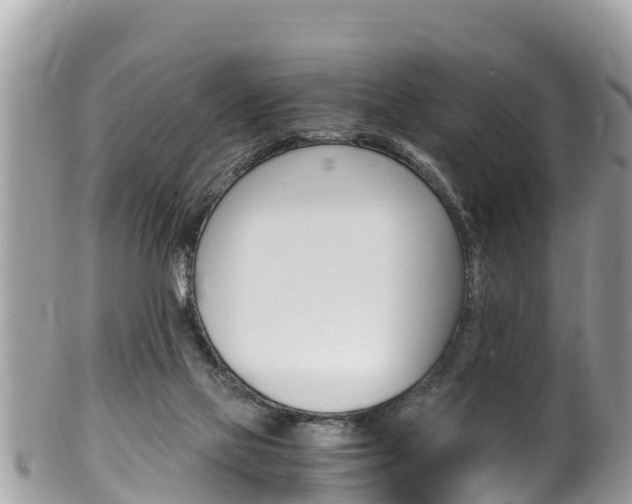 X0000100490069200806130805