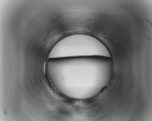 X0000100490070200806130805