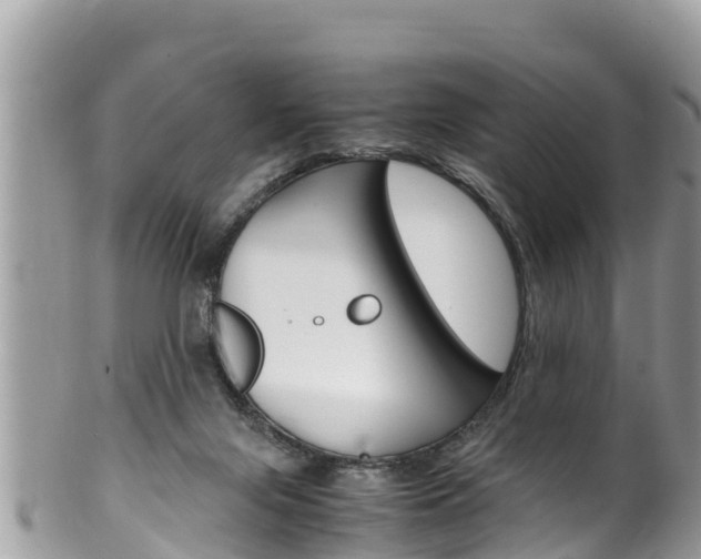 X0000100490071200806130805