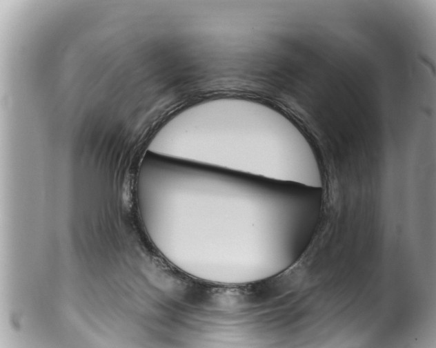 X0000100490074200806130805