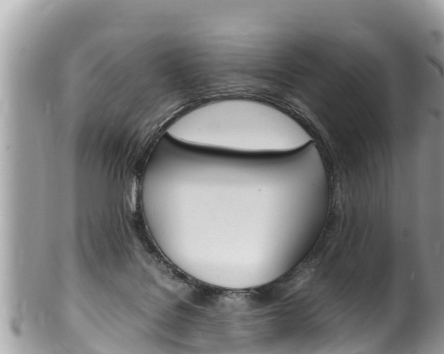 X0000100490076200806130805