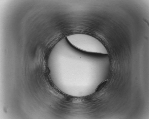 X0000100490077200806130805