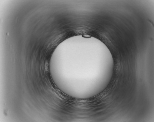 X0000100490081200806130805