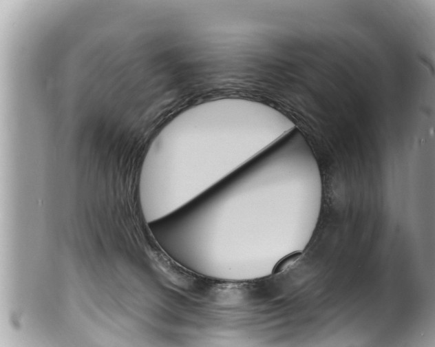 X0000100490082200806130805