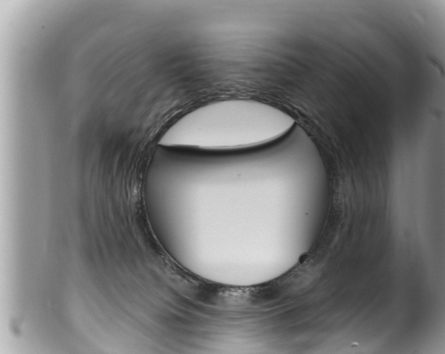 X0000100490084200806130805