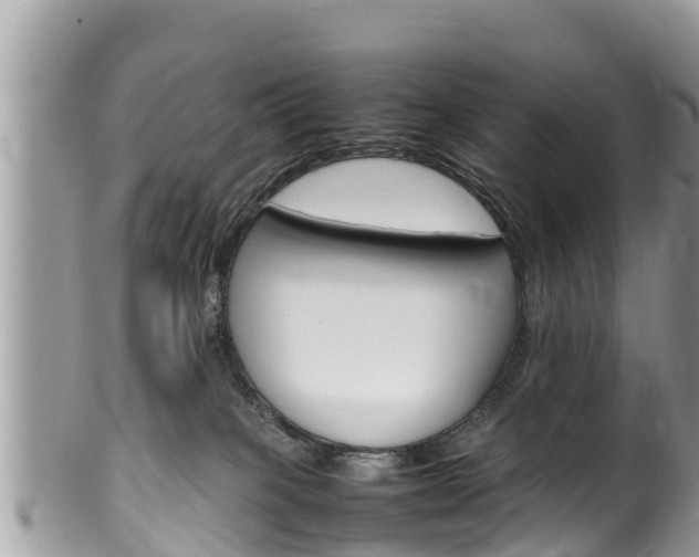 X0000100490085200806130805
