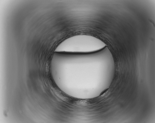 X0000100490086200806130805