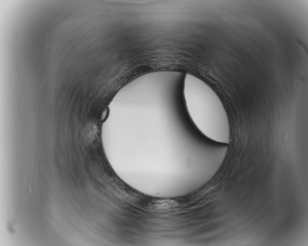 X0000100490087200806130805
