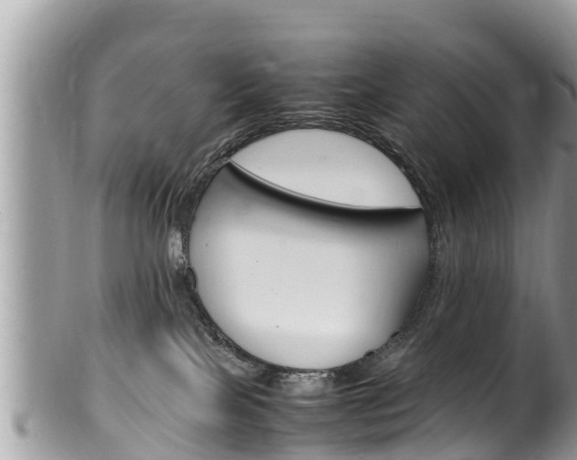 X0000100490089200806130805