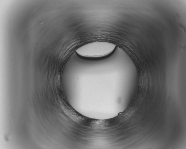 X0000100490092200806130805