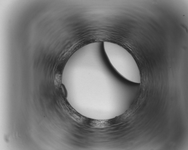 X0000100490093200806130805
