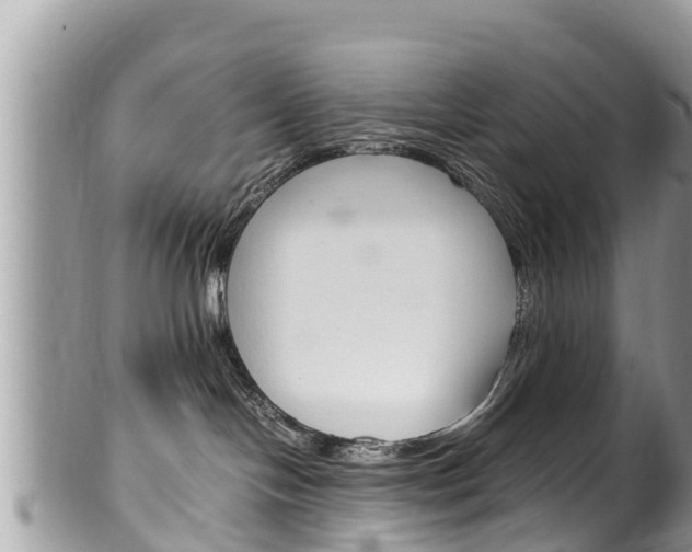 X0000100490094200806130805