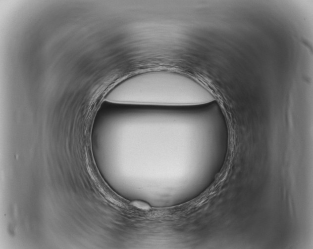 X0000100490097200806130804